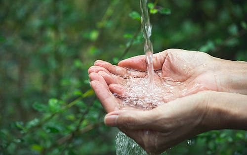 Wasser läuft aus Quelle im grünen Wald in Frauenhände