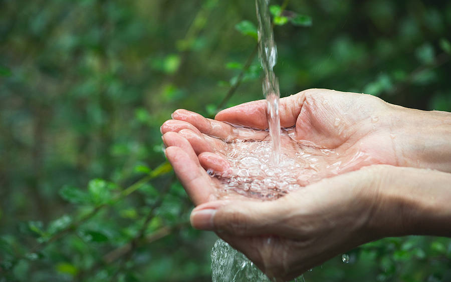 Wasser läuft aus Quelle im grünen Wald in Frauenhände