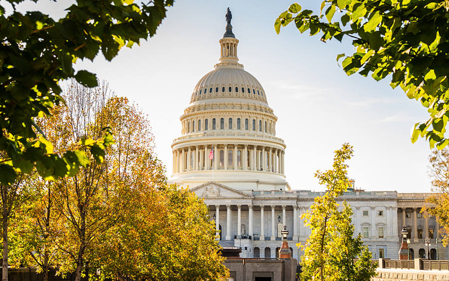 Sitz des US-Kongresses: Das Kapitol in Washington.