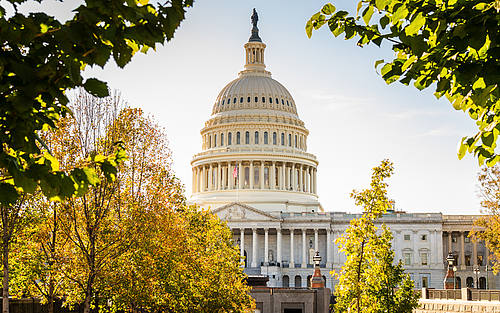 Sitz des US-Kongresses: Das Kapitol in Washington.