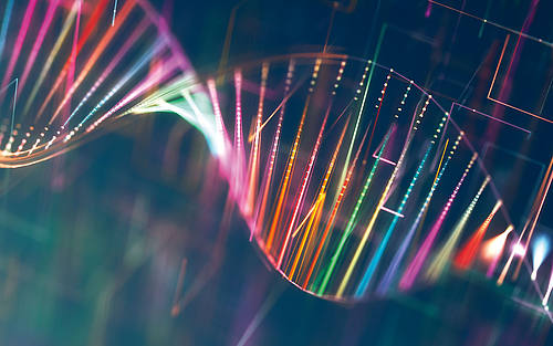 Digitale DNA