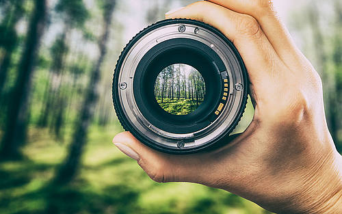 Bildquelle: Gettyimages/iStock