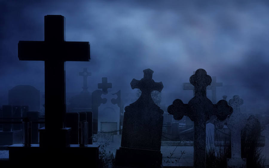 Google-Algorithmus sagt den Tod voraus