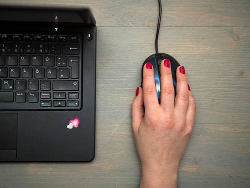 Verwaltung per Mausklick? In deutschen Amtsstuben findet das nach Ansicht der Industrie noch zu wenig statt - die Branche kritisiert die Digitalisierung von Behörden als mangelhaft. Foto: picture alliance / Sebastian Gollnow/dpa