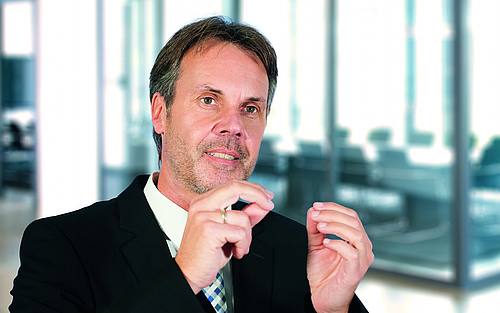 Manfred Zerwas, SER-Gruppe