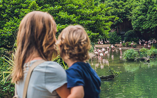 Familie im Zoo