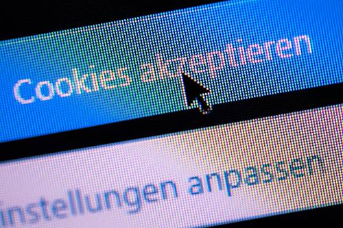 Die Datenschutzgrundverordnung, kurz DSGVO, wird vier Jahre alt. Ist sie ein ürokratisches Monster oder gar ein Datenschutzvorbild?