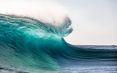 Ein Leader in The Forrester Wave™