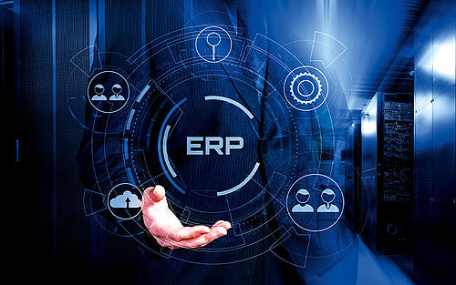 Vom ERP-Profi Analysieren lernen