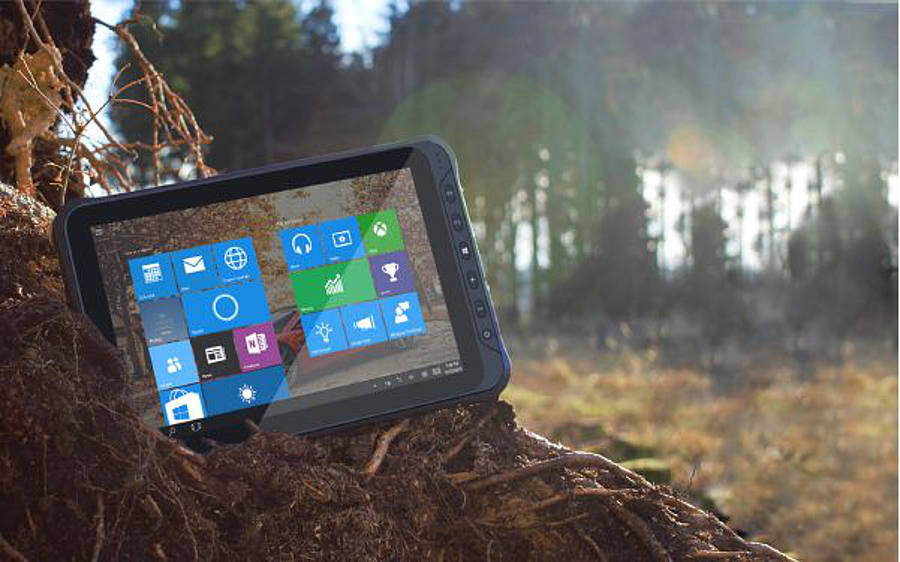 Bressner Tablet im Wald