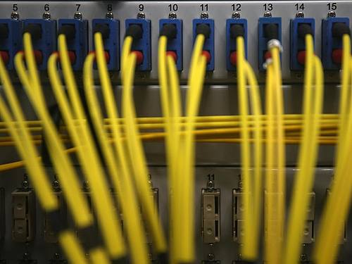 Netzwerkkabel verbinden Server. Viele dieser Geräte sind angriffsfälliger als ihre Besitzer wissen. Foto: Oliver Berg/dpa