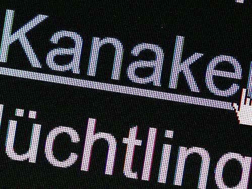 Eine Forsa-Umfrage ergab, dass Beleidigungen, Beschimpfungen und «Fake News» bei nahezu allen Internetnutzern in Deutschland auf Ablehnung stoßen. Foto: Lukas Schulze