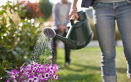 Person, die Blumen gießt