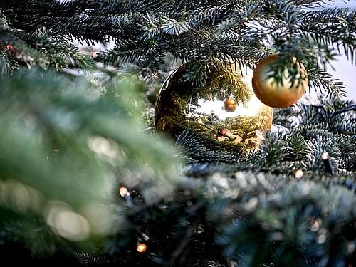 Ein Weihnachtsbaum ist mit Kugeln und einer Lichterkette geschmückt. (Archivbild). Foto: Britta Pedersen/dpa-Zentralbild/ZB