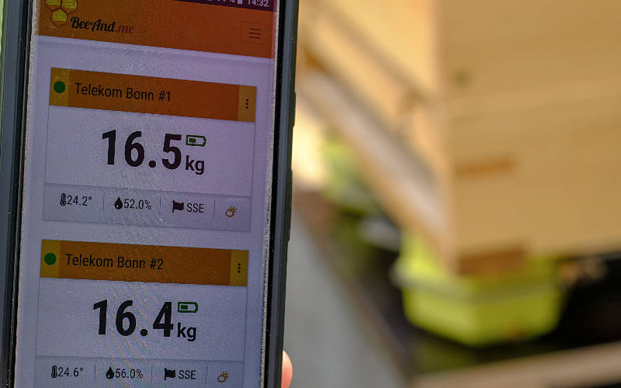 Smartphone-App für Imker