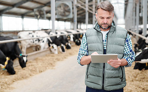 Kommunikation zwischen Molkereien und Milchbauern erleichtert