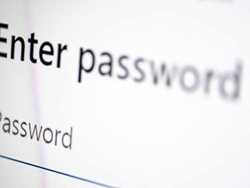 Auf dem Bildschirm eines Laptops sieht man die Dialog-Box eines Passworts. Foto: Fabian Sommer/dpa