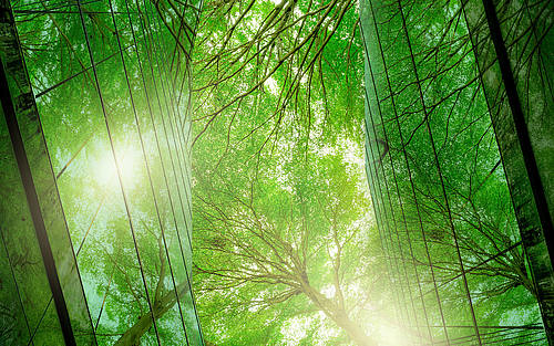 Grüner Wald 