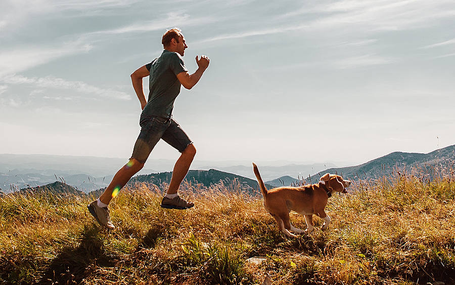 Ein Jogger wird von seinem Hund begleitet
