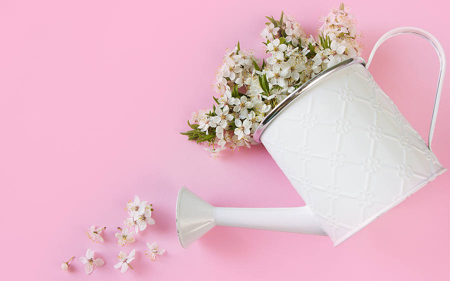 Gießkanne gefüllt mit Blumen