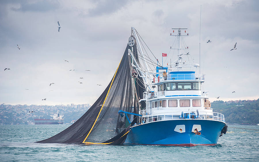 Fischerboot in Aktion