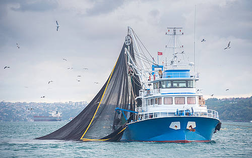 Fischerboot in Aktion