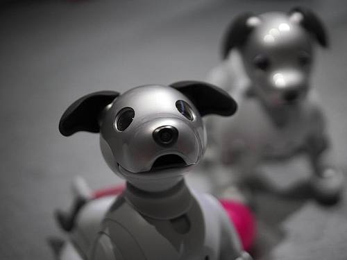 Der Roboter-Hund Aibo von Sony 