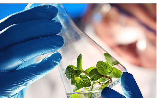 Schweizer Pharmakonzern mit SAP-Lösung