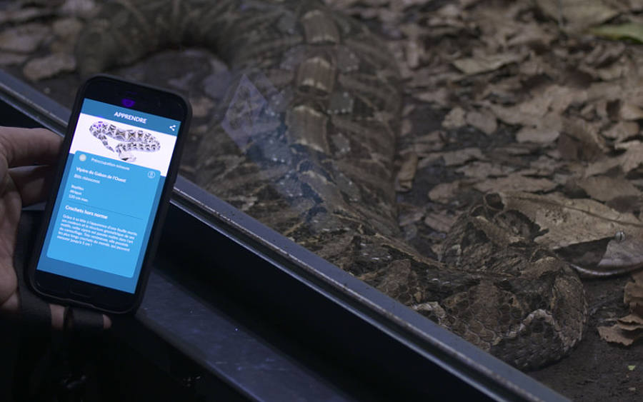 Wi-Fi-Verbindung im Aquarium