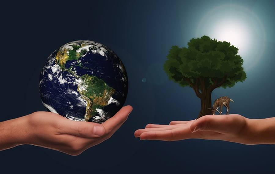 Hände halten Globus und Baum 