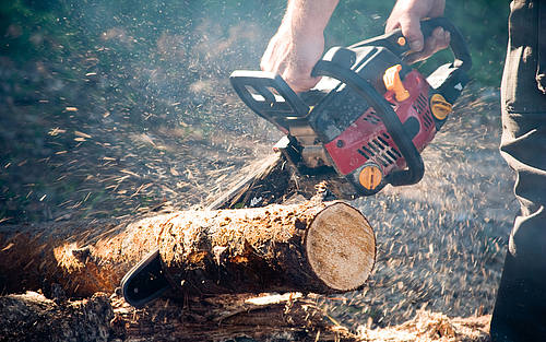 Holzfäller bei der Arbeit