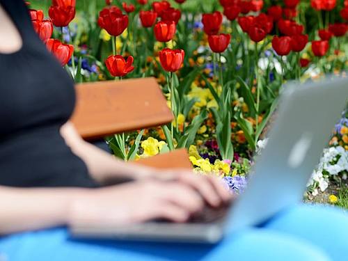 Mädchen und junge Frauen erleben laut einer Umfrage online mehr Belästigung als auf der Straße. Foto: picture alliance / dpa