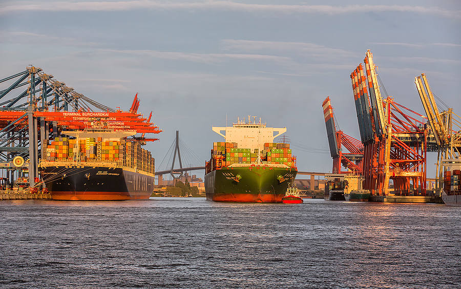 Der Hamburger Container-Hafen Altenwerder