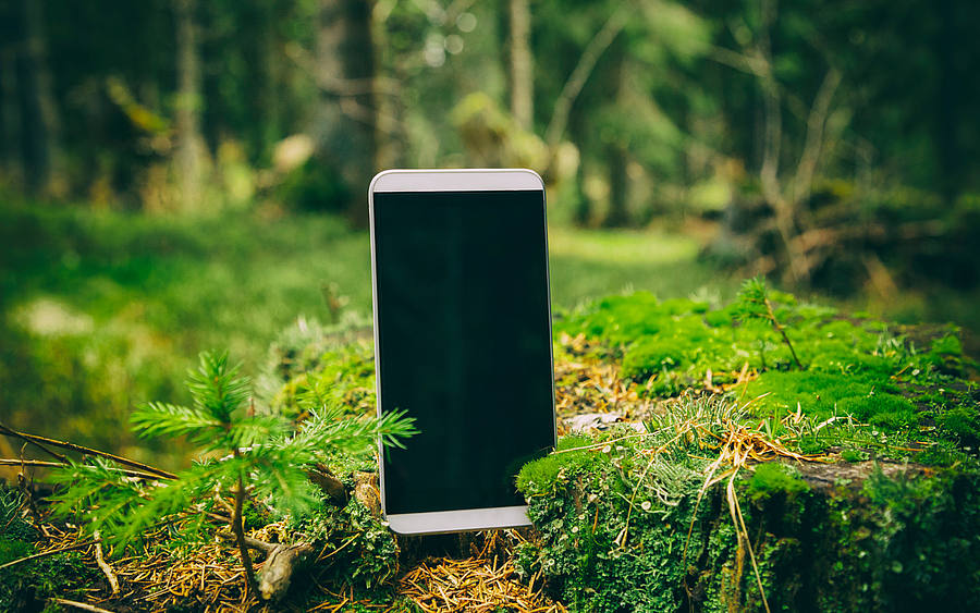 Smartphone im Wald