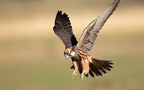 Bildquelle: Thinkstock/iPhotos