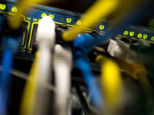 Netzwerkkabel in einem Serverraum. Foto: Matthias Balk