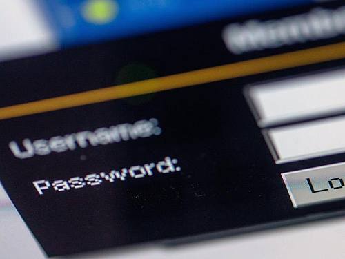 Das Abfragefenster für Username und «Password» auf einer Internetseite. Foto: Jens Büttner/zb/dpa