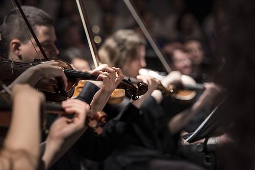 Geiger im Orchester