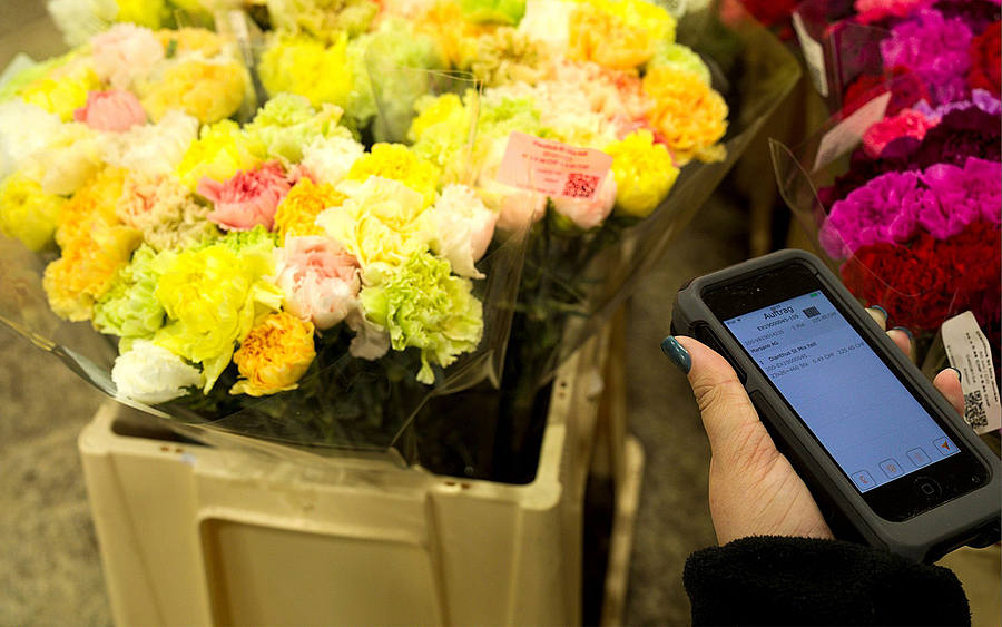 Scan-Vorgang bei Blumen Galli