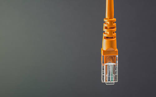 Ein orangefarbenes Lankabel