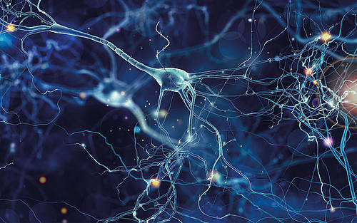Neuronale Netze