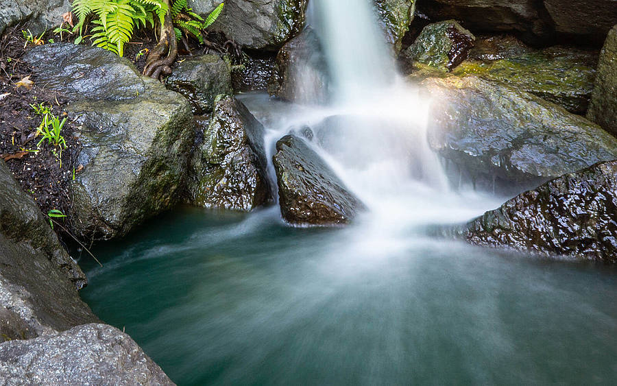 Wasserfall im Wald läuft in einen See