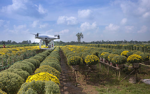 Drohne über Feld