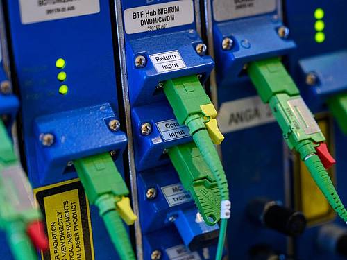 Netzwerk LAN Kabel. Foto: Sebastian Gollnow/dpa
