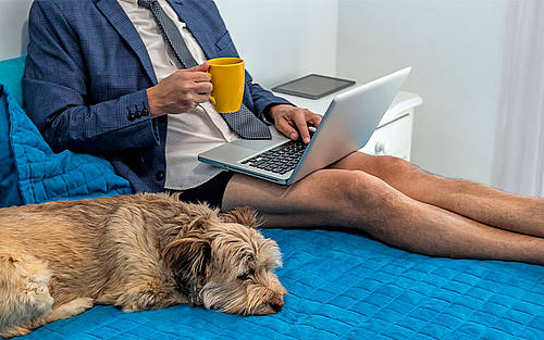 Homeoffice von der Couch aus