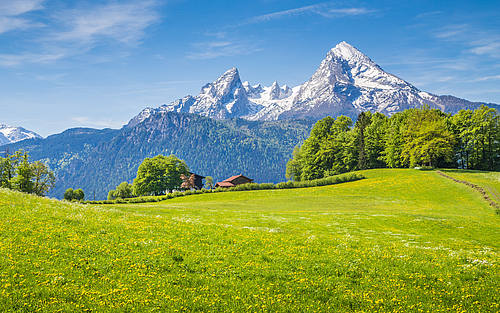 Schweizer Alpen