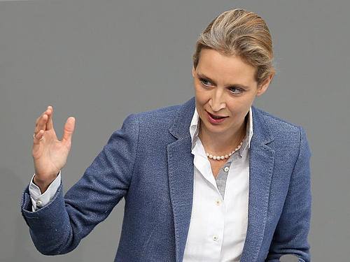 Die Co-Vorsitzende der AfD-Bundestagsfraktion, Alice Weidel ((Foto: Wolfgang Kumm))
