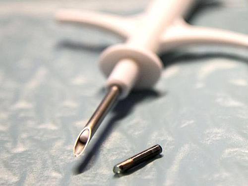 Mikrochip per Spritze unter die Haut. Foto: Jowan Österlund/Biohax/dpa