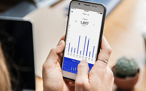 In der Phyn-App lässt sich der genaue Einzelverbrauch je Armatur kontrollieren.