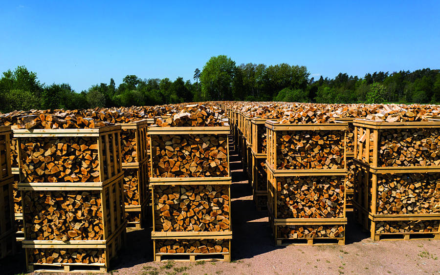 Holzpaletten